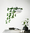 Calarbo™ Mauricio - Modern Planter Lampshade Light