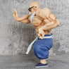 Dragon Ball Master Roshi Figure Kame Sennin Figurine 24CM PVC Action Figures Collection Model Toys for Children GiftsAction figure
